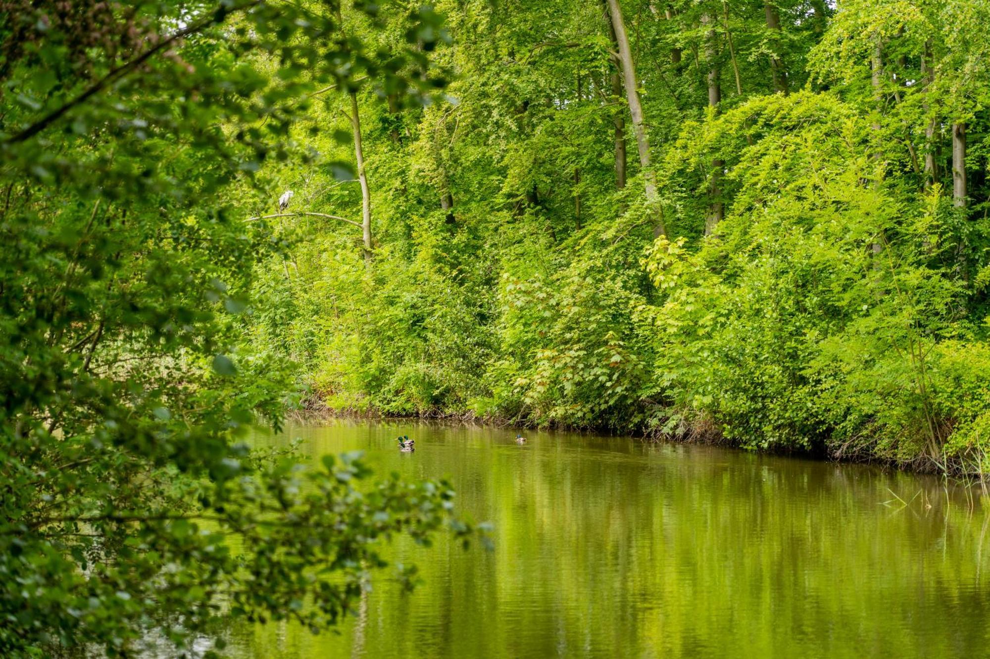 Koetshuis landgoed Iepenoord Oostkapelle Buitenkant foto