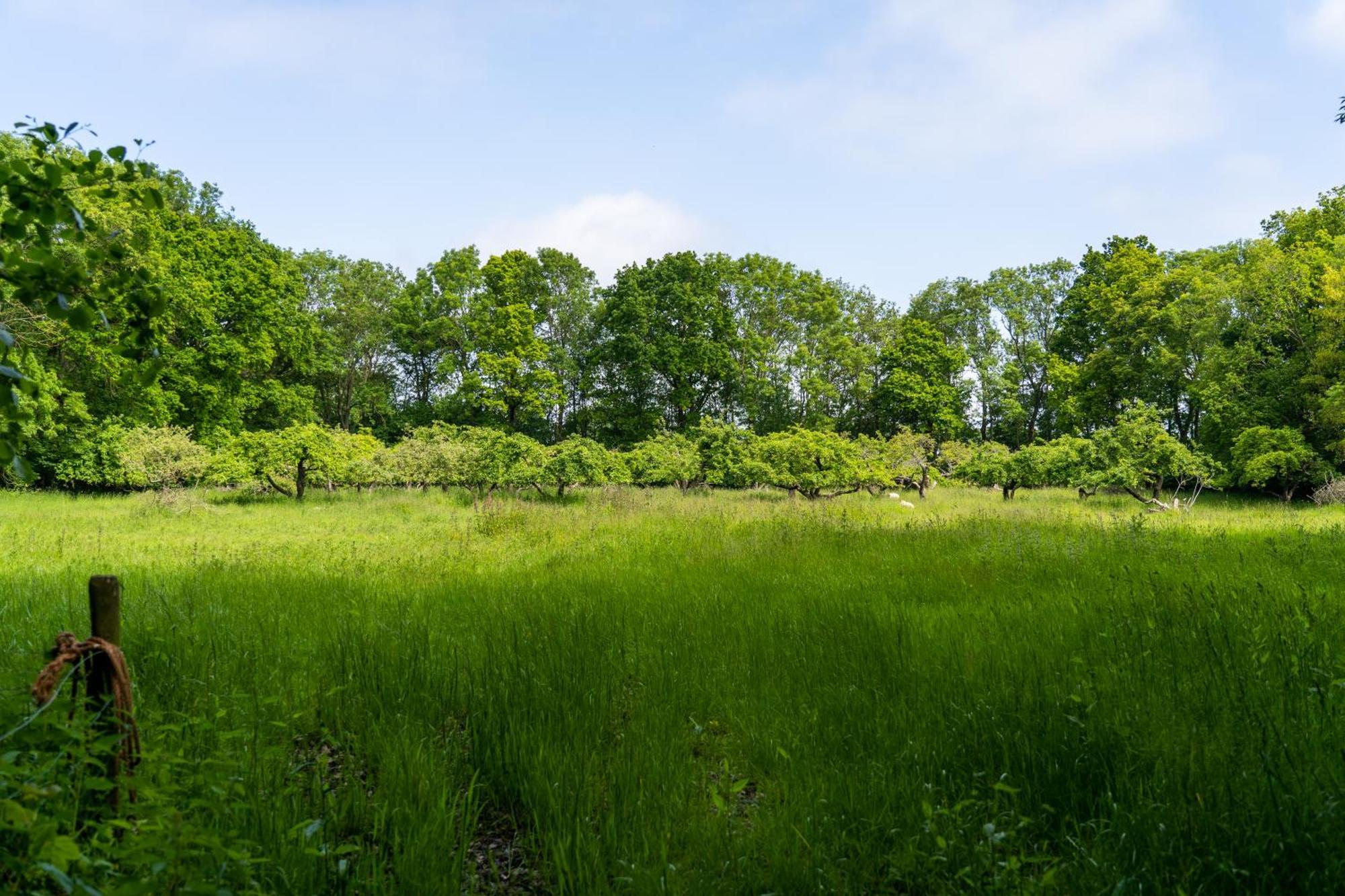 Koetshuis landgoed Iepenoord Oostkapelle Buitenkant foto